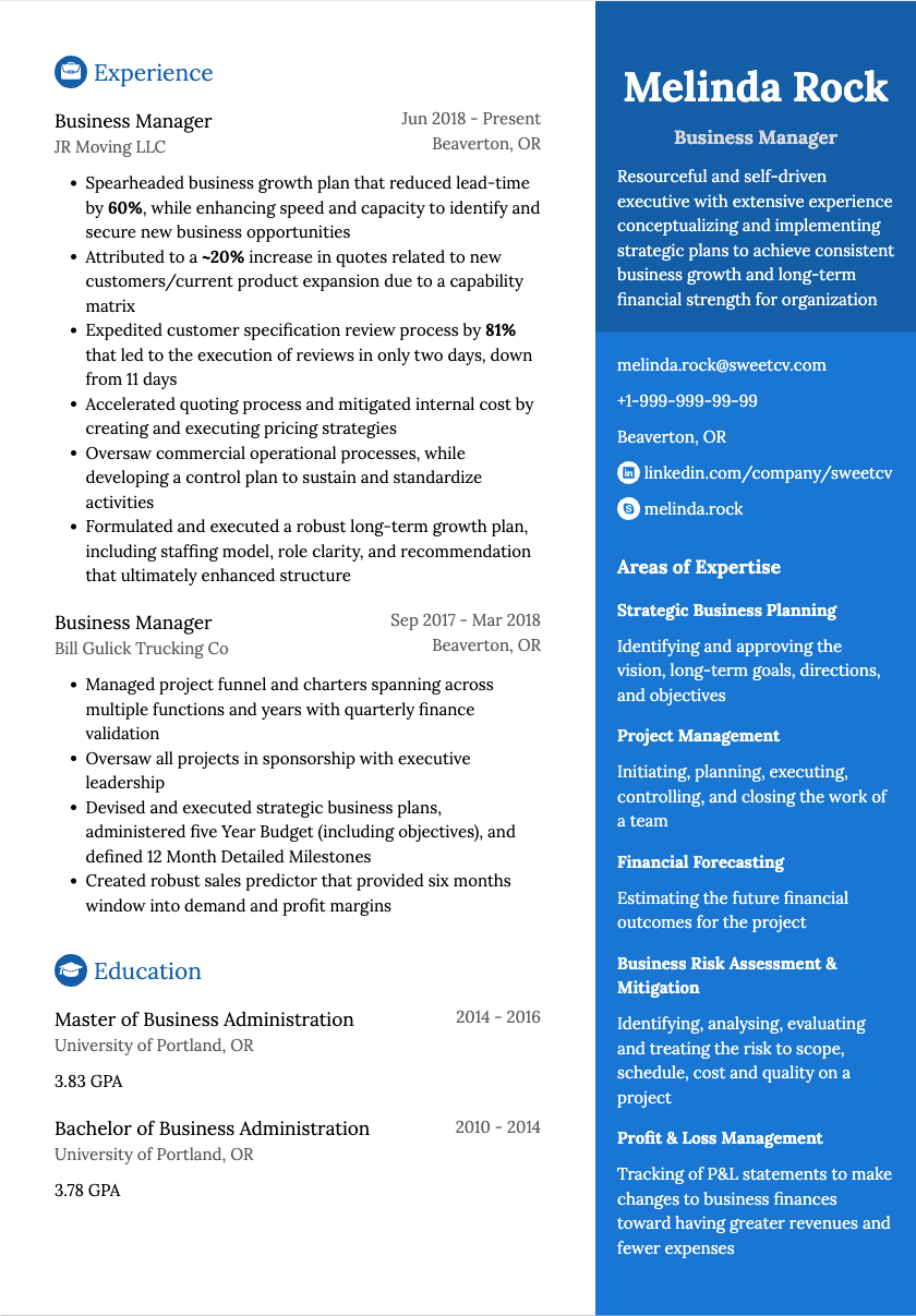 Business Manager Resume Example & Business Executive CV Template