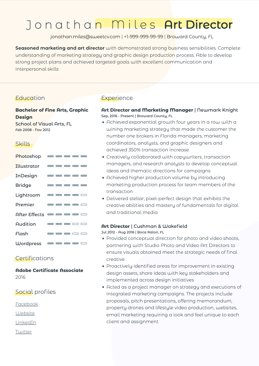 Art Director Resume Sample & Creative Director CV Template