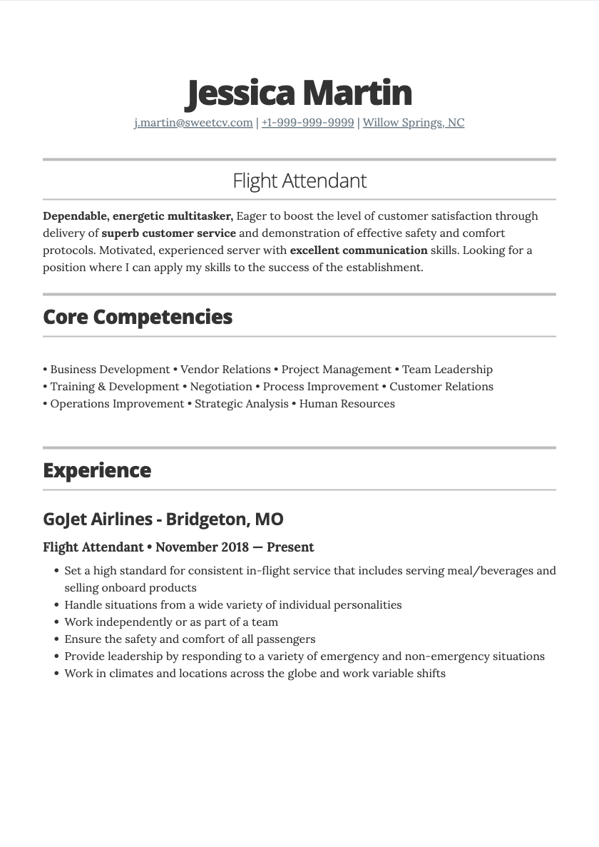 resume professional summary for flight attendant